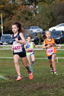 Girls under-13s National Cross Country Relay, Berry Hill Park, Mansfield. Photo:  David T. Hewitson/Sports for All Pics